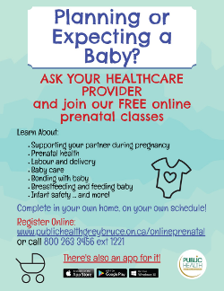Online Prenatal Program